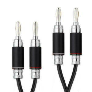PRO-JECT Connect it LS RS