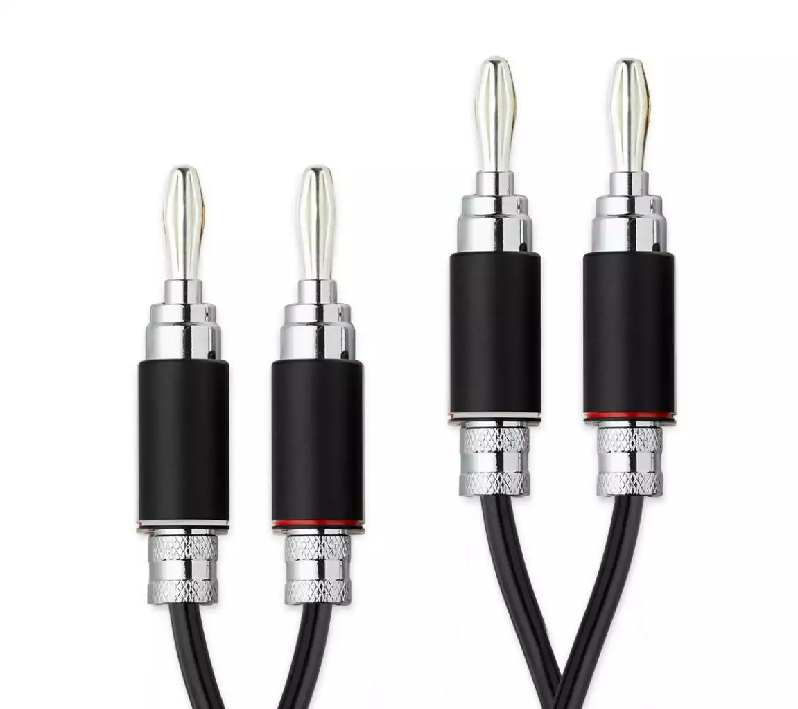 PRO-JECT Connect it LS RS