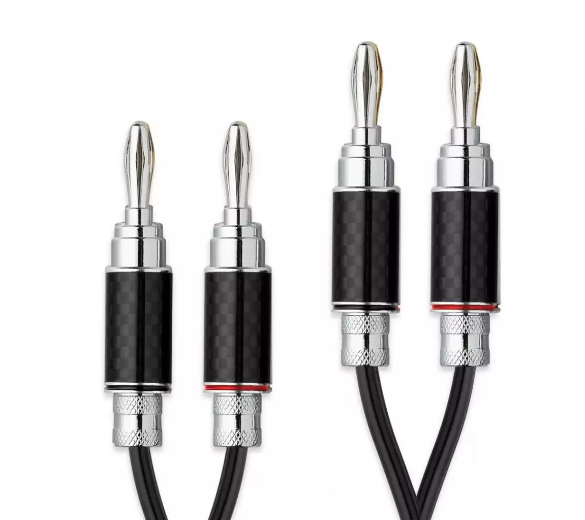 PRO-JECT Connect it LS DS