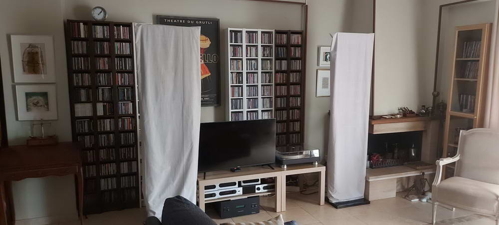 AUDIOSTATIC ES300 MDi + SW100 - Image 2