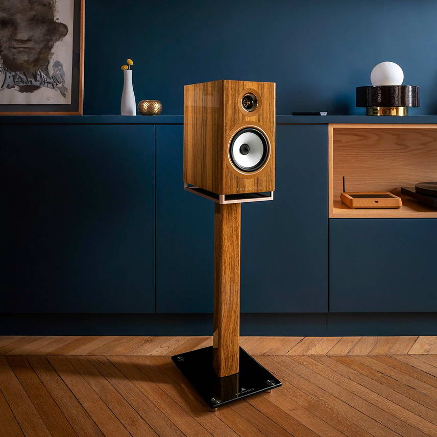 TRIANGLE Capella 2 Wi-Fi & Bluetooth Speaker - Image 9
